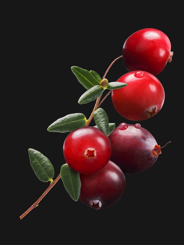 Quelles techniques pour porter des robes longues avec des vestes courtes ?